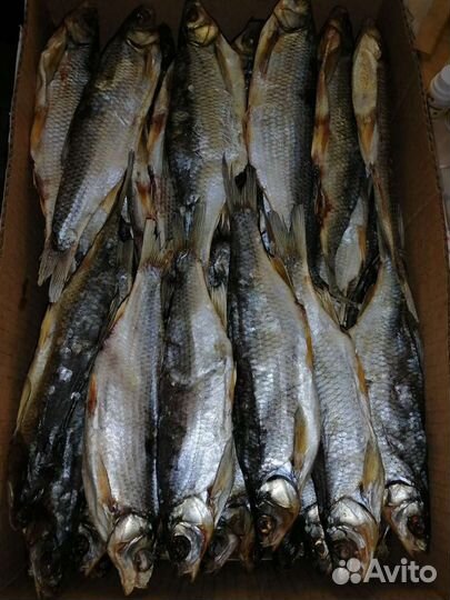 Чебак вяленный