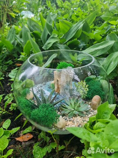 Флорариум 