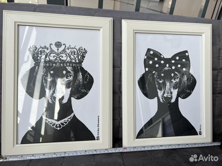 Постеры с таксами