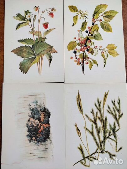 2 Набора открыток 