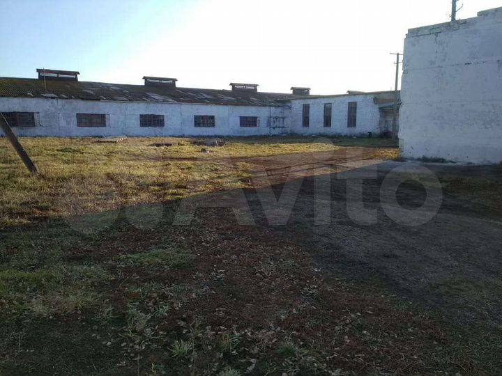 Свободного назначения, 8000 м²