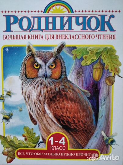 Книга для внеклассного чтения