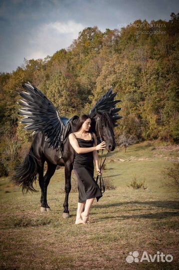 Крылья для коня, пони, лошади Амуниция