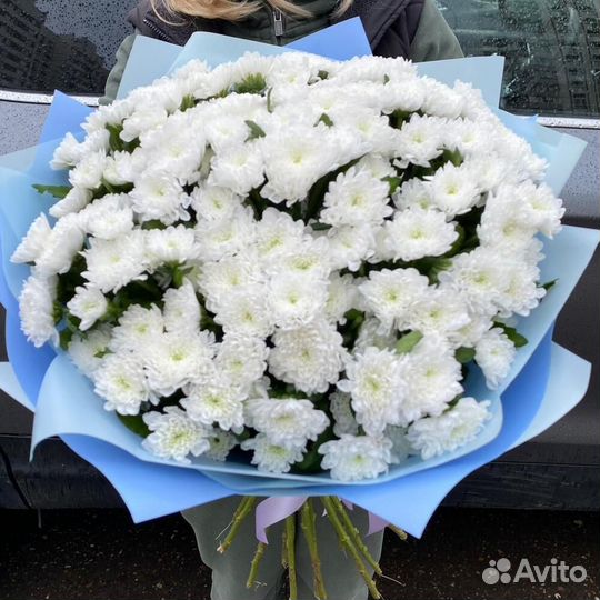 Букет 283 Хризантемы белые 23 шт