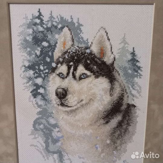 Хаски вышитая картина в багете