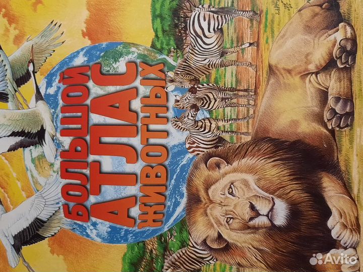 Книга Большой Атлас животных