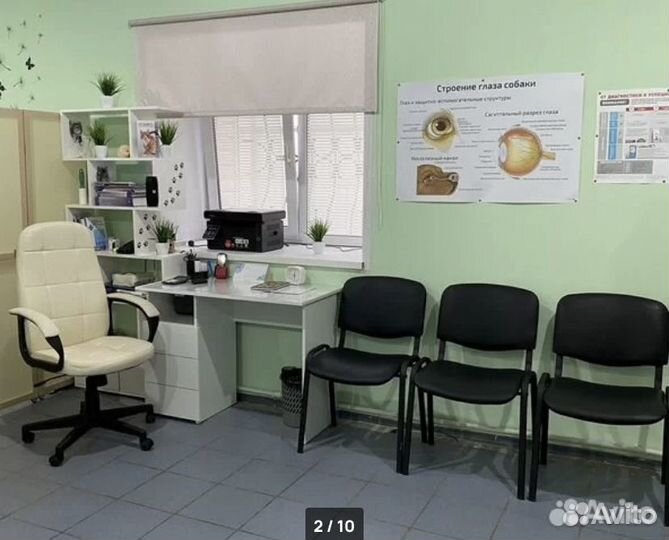 Ветеринарный врач на дом