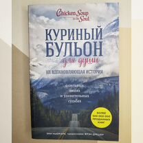 Куриный бульон для души. 101 вдохновляющая история