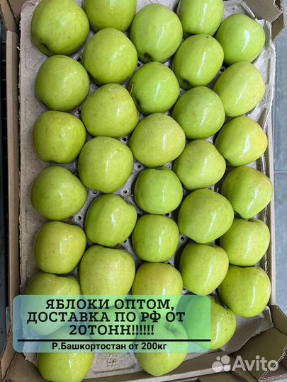 Яблоки оптом от 20 тонн