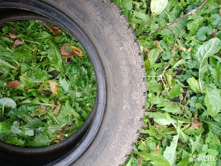 Cordiant Snow Cross 175/65 R14