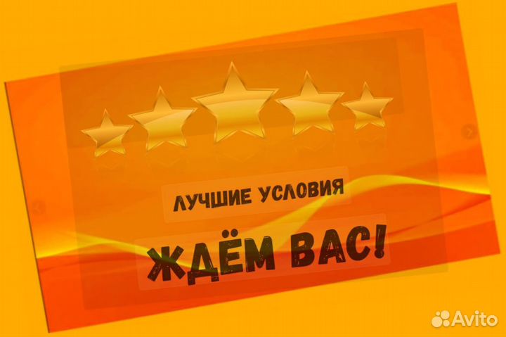 Укладчик маринада Работа вахтой Жилье/Еда/Аванс Хо