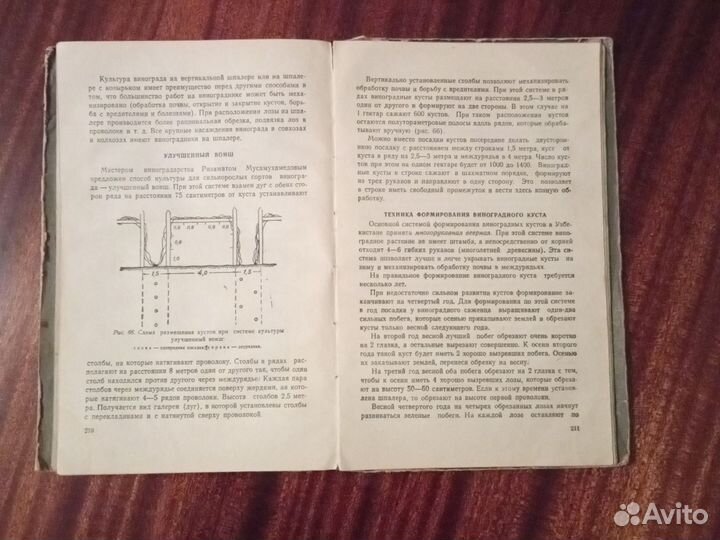 Книга по садоводству и виноградарству