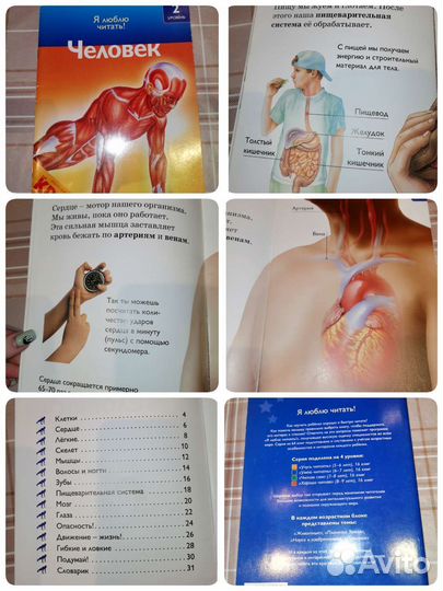 Детские книги, познавательные, с картинками