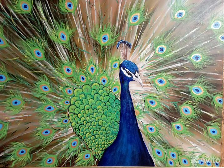 Картина маслом Павлин
