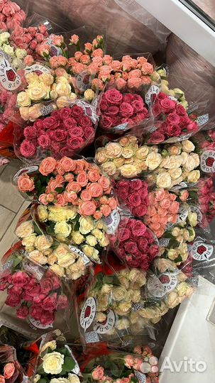 Цветы оптом в наличии,склад в Астрахани. Прайс