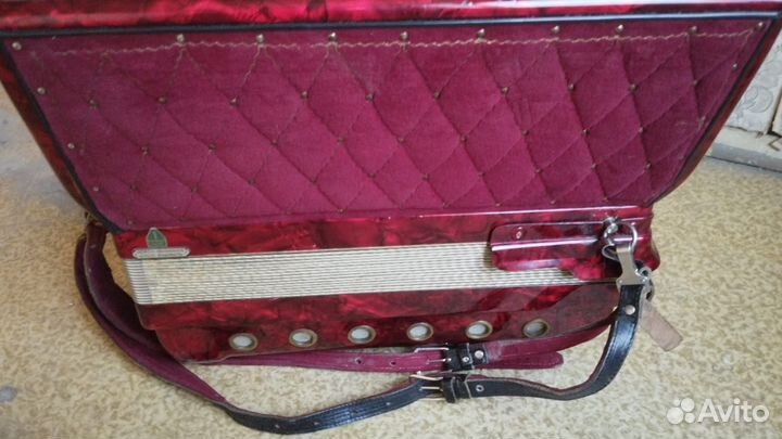 Аккoрдeoн ноrсн