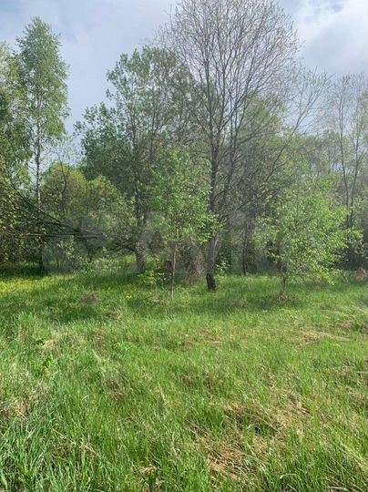 Участок 25 сот. (ИЖС)