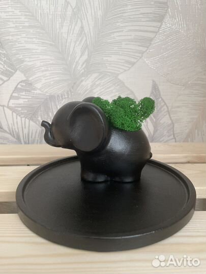 Декор из гипса в подарок