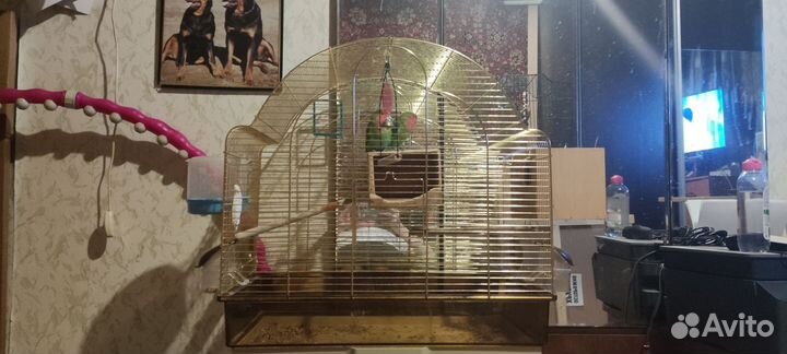 Клетка для попугая