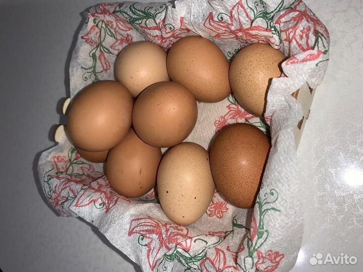 Домашние куриные яйца