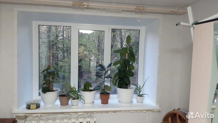 Пластиковые окна любой сложности