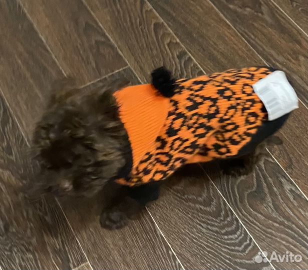 Свитер для собаки