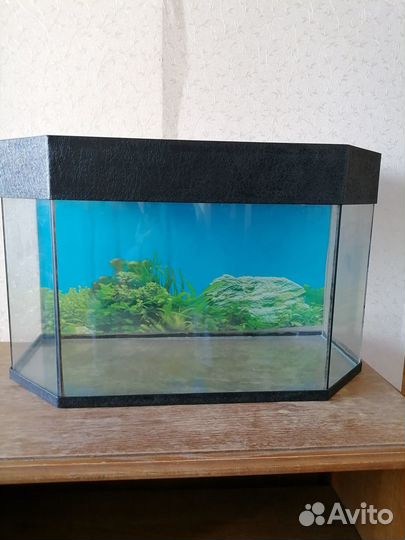 Продается аквариум