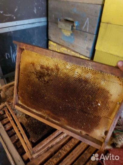 Рамки для ульев сушь