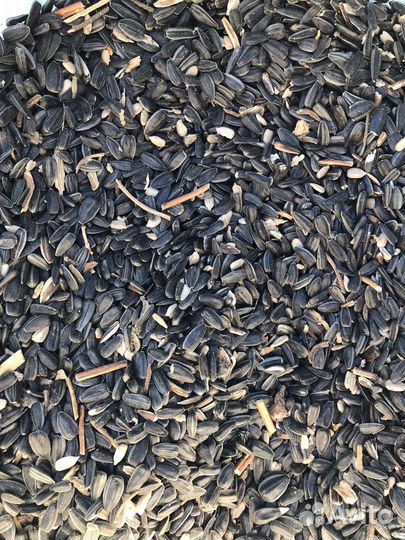 Семечки для птиц