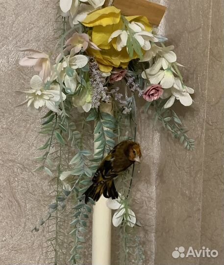 Канарейка гибрид щегол