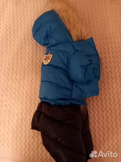 Теплый комбинезон для собачек мелких пород