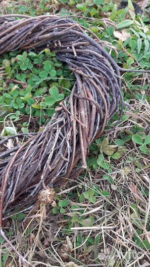 Основа для венка из березовых веток (венок) d- 40