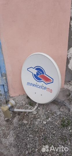 Тарелка триколор