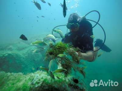 Дайвинг в Анапе