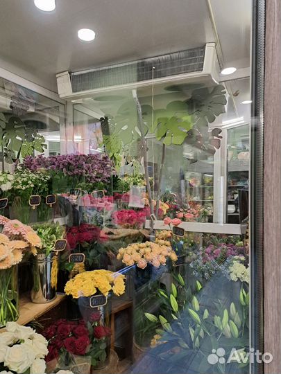 Ремонт промышленных холодильников Polair