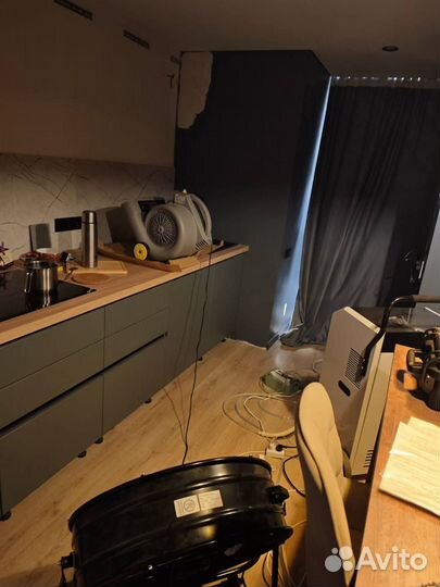 Дезинфекция от клопов тараканов мышей