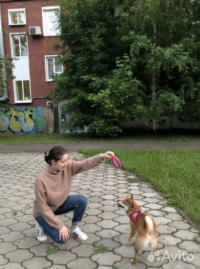 Зооняня. Выгул собак Адлер Пермь, передержка