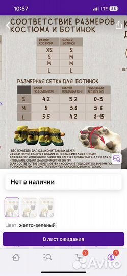 Дождевик для собаки мелких пород. Размер М