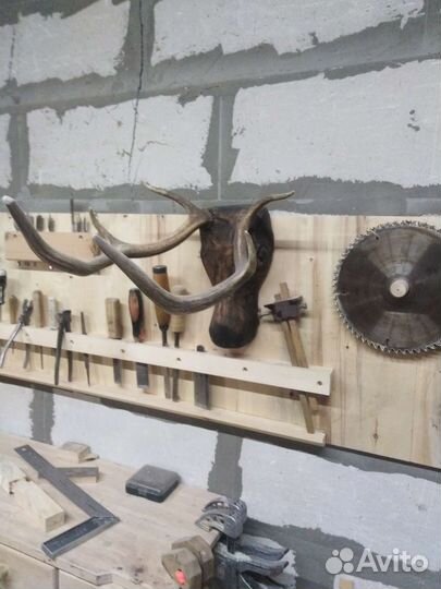 Продам рога оленя