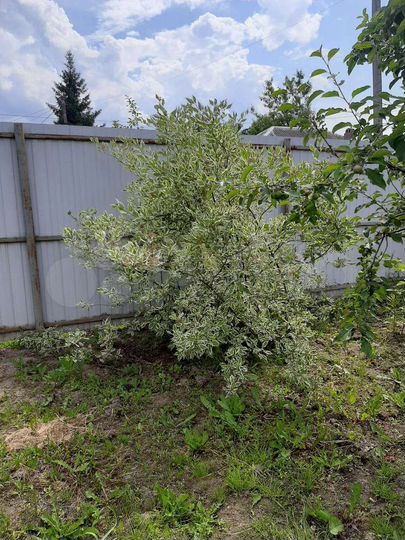 Дом 30 м² на участке 3,5 сот.