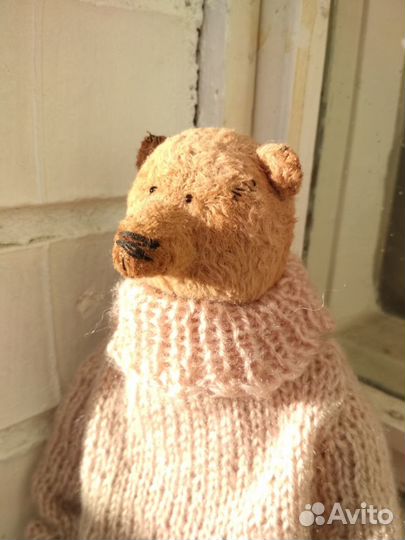 Медведь Мишка