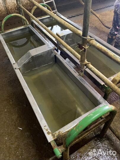 Поилка для коров, телят, групповая поилка