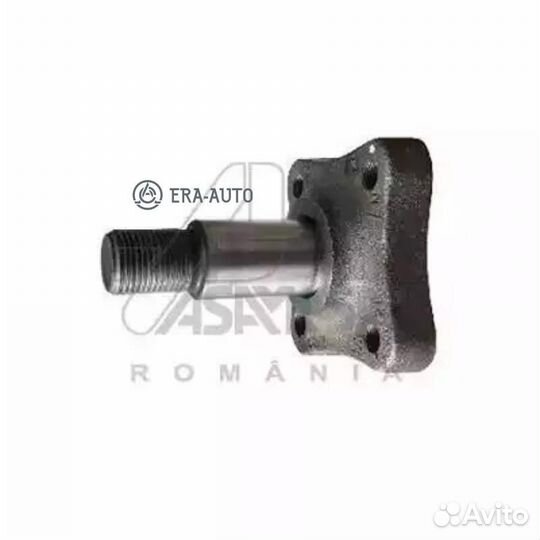 Asam-SA 30319 Цапфа