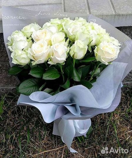 Розы гиганты 140 150 160 170 180 200