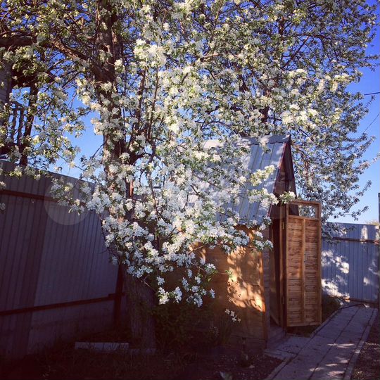 Дом 72 м² на участке 7 сот.