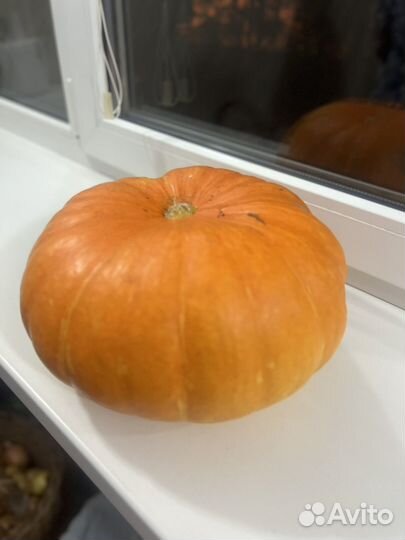 Тыква медовая
