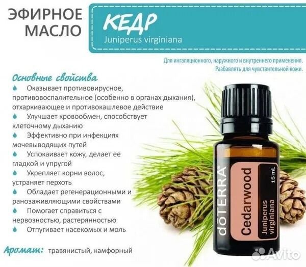 Кедр, Эфирное масло DoTerra, 15мл