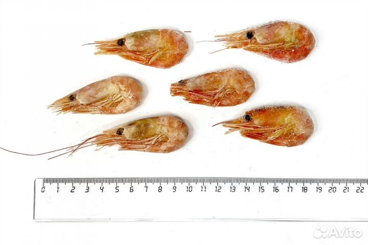 Креветки северные 90/120, Китай