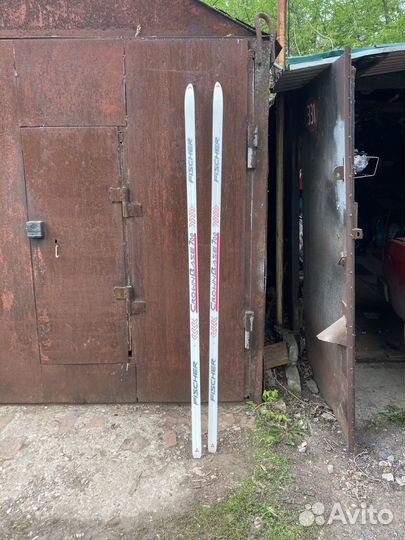 Беговые лыжи fisher crown base 700