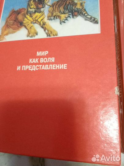 Шопенгауэр и Руссо